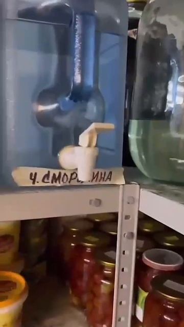 Увы..... не убежать...#пьянство #дружба #бухать #водка #трезвость #самогон #погреб #подвал #погребок