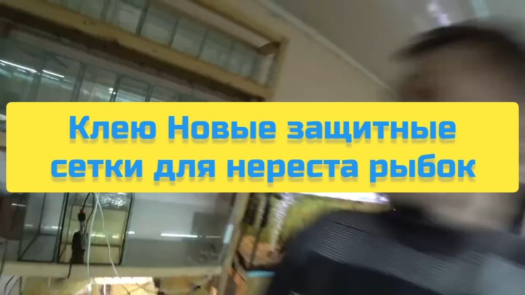КЛЕЮ НОВЫЕ ЗАЩИТНЫЕ СЕТКИ ДЛЯ НЕРЕСТА РЫБОК