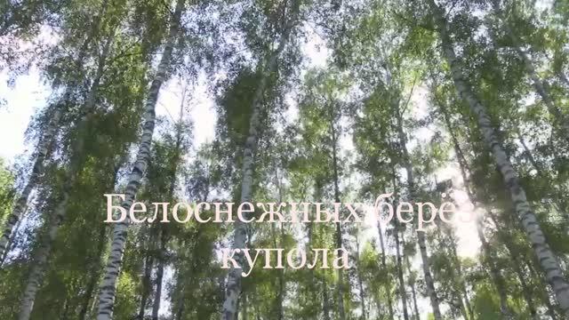 Белоснежных берёз купола