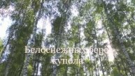 Белоснежных берёз купола