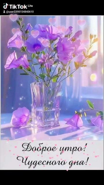 20-11-2025 С добрым утром друзья!