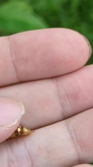 Подпишись 👉 https://www.avito.ru/sankt-peterburg/odezhda_obuv_aksessuary/podveska_iz_nefrita_kle...