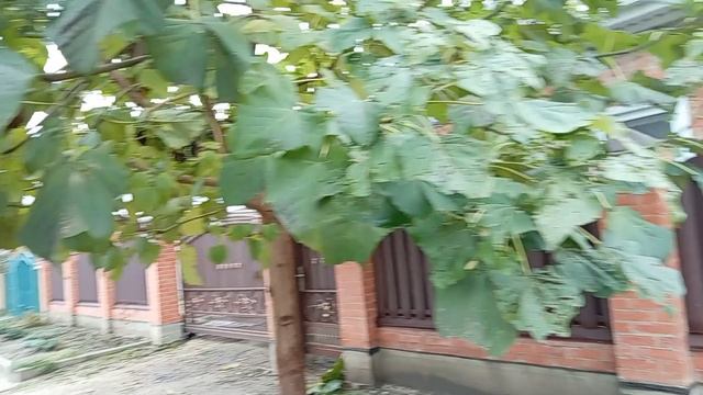 Иду в магазин и болтаю с вами ! Распаковка продуктов! Юг России 🌴.