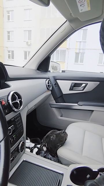 VID_20251113_080212.mp4