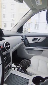 VID_20251113_080212.mp4