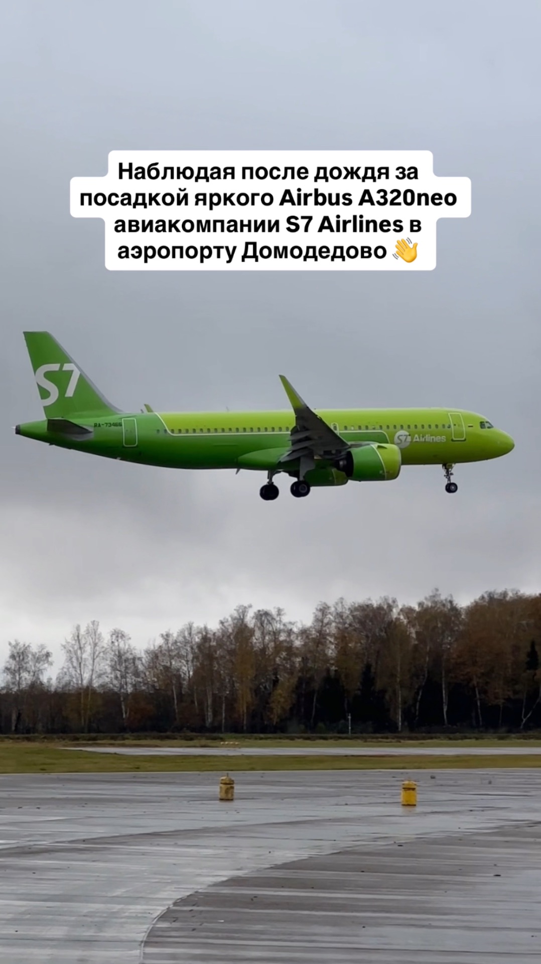 Наблюдая после дождя за посадкой яркого Airbus A320 авиакомпании S7 Airlines в аэропорту Домодедово