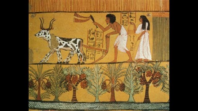 История хлеба. Урок для младших школьников