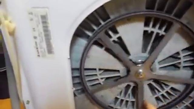 Индежуть рычит