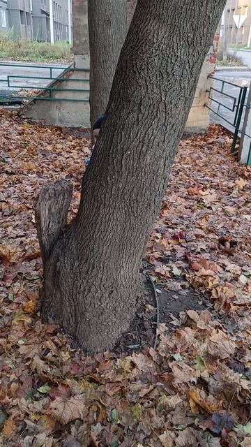 Играем в прятки