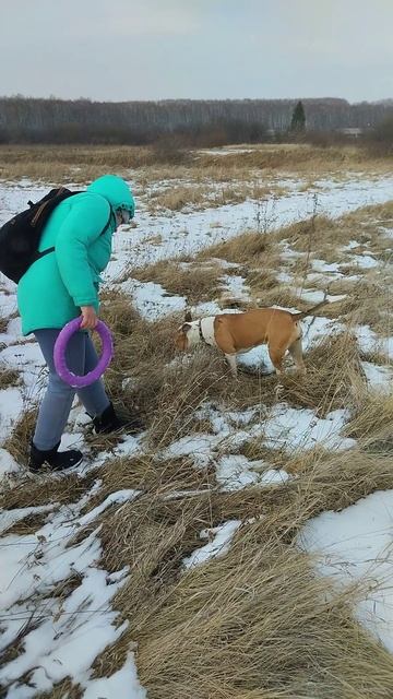 Подурачились