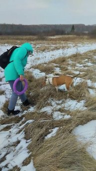 Подурачились