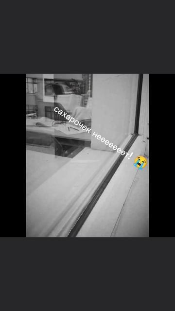 видео моё #мем #рек #сборка_мемов