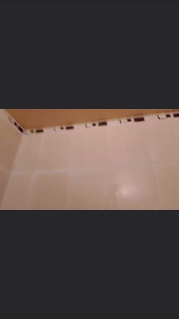 Вот так сейчас проходит наше свободное время - все в санузле...