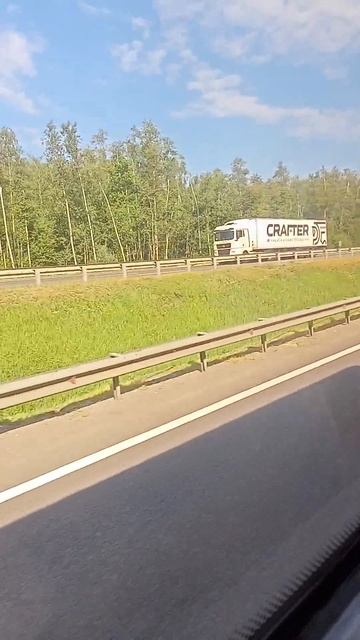 дорога и лес