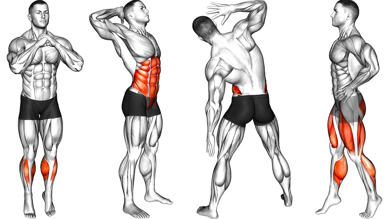 Выполняйте эти Упражнения каждое УТРО