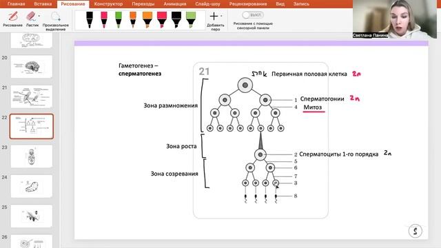ВСЕ КАРТИНКИ ИЗ ЕГЭ ПО БИОЛОГИИ | РОХЛОВ 2024 | ЧАСТЬ 2
