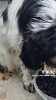 Какая гадость!...)))