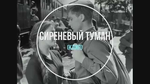 Сиреневый туман