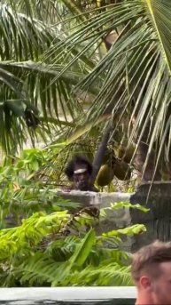 Пока молодёж веселится, мужик выбирает себе еду!