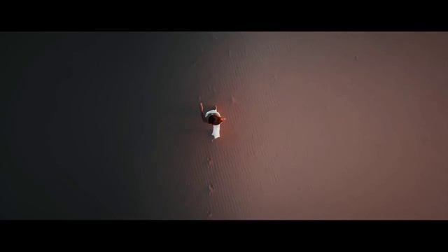 Alan Walker and Ashlee - LAMBADA