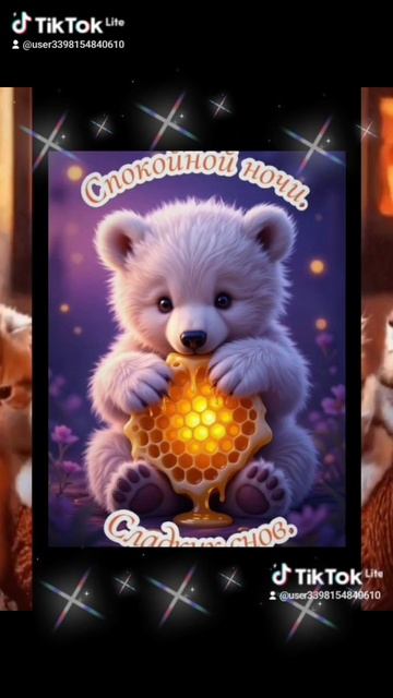 20-11-2025 Доброй ночи! Сладких снов!🙏