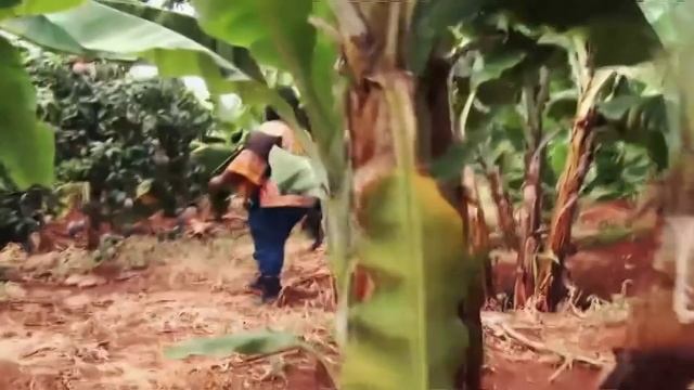 4.1 Documentary Unit 7 - Mobile Communication in Africa