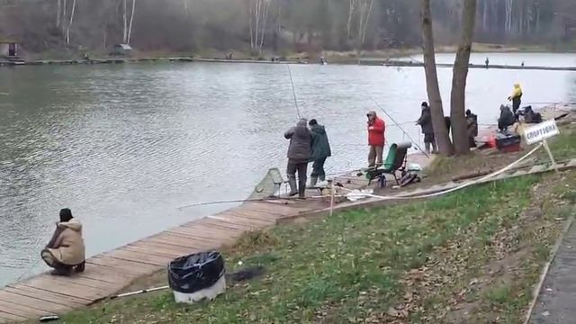 Крабовая палочка Основной