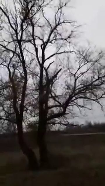 От зимы в полушаге (моё личное стихотворение)