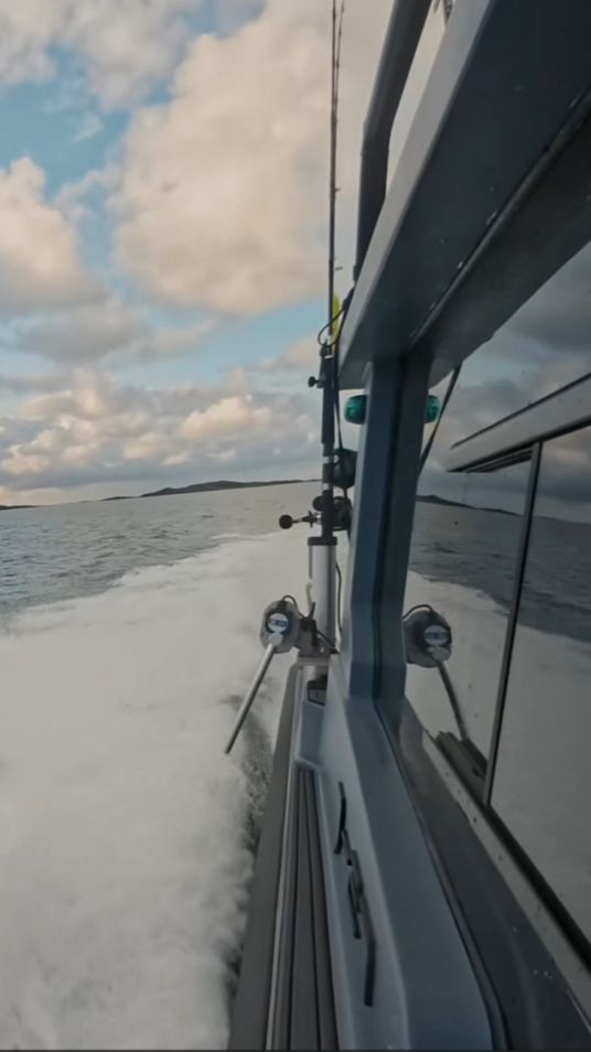 Если нужно нежно — это не к нему!!! Jaktar J-27 в наличии!!!