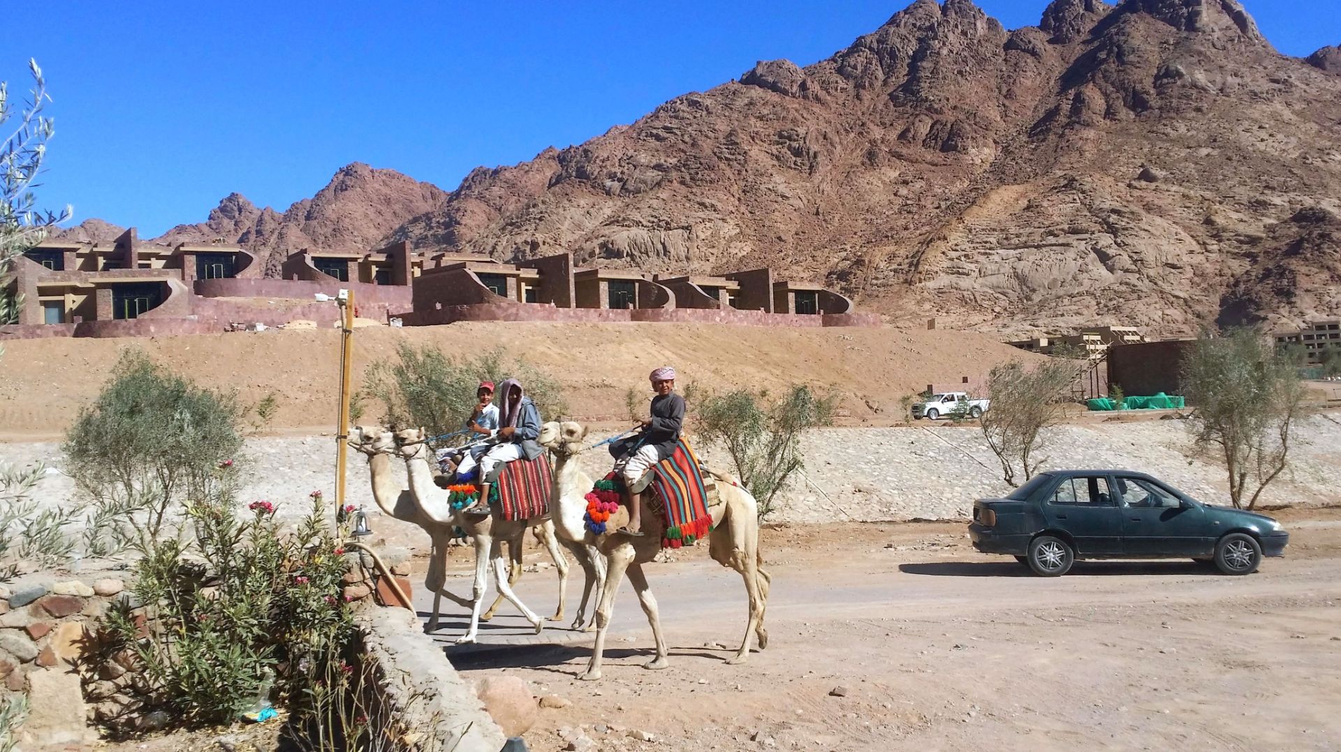 Экскурсия в Монастырь Святой Екатерины. Начало экскурсии, информация гида. Остановка в кафе. Завтрак