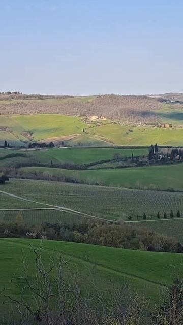 #Montepulciano