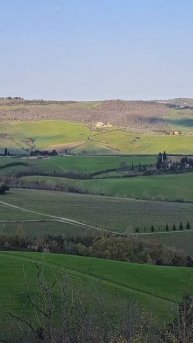 #Montepulciano