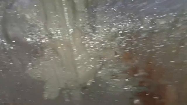 Ст. Союз. Ужас ,купили участок, проверьте колодец, там может быть и так. podkapaev.ru