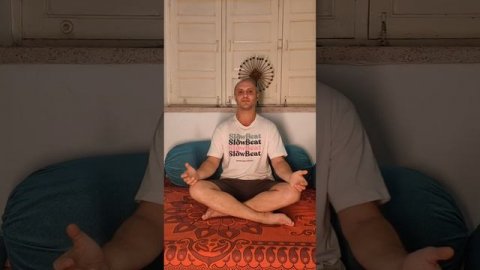 исследуем дыхание и живот.