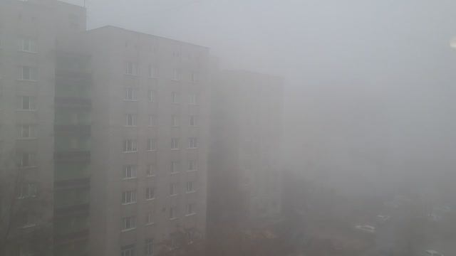А у нас страшный туман!😮😮😮