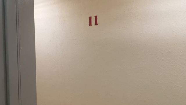 Грузопассажирский, пассажирский лифт V=1 м-с, Q=400, 630 кг (5198), музыкальные лифты Wellmaks