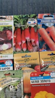 Семена на 2026 год для любимого огорода в деревне все самое нужное!