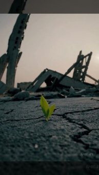 ЖИЗНЬ ВСЕГДА ПОБЕЖДАЕТ