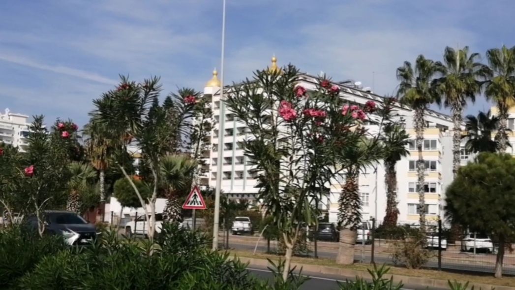 21 ноября+26° ТИХОЕ, ЛАСКОВОЕ МОРЕ +23°. ТУРЦИЯ 2025. #türkiye2025 #alanya #mahmutlar