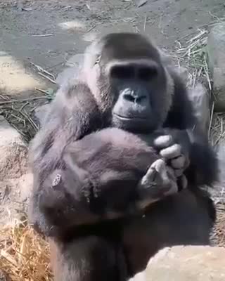 Наконец-то уснул🙂