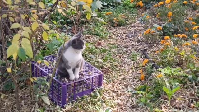 Такой маленький😻А порция ого-го!!😉