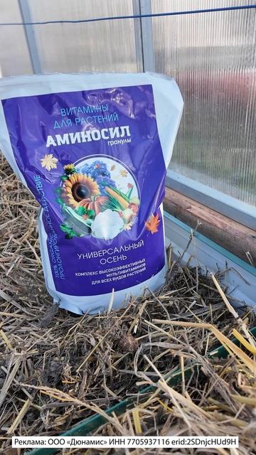 ЧТО ПОСЕЯТЬ В НОЯБРЕ НА ГРЯДКУ - ПОДЗИМНИЙ ПОСЕВ СЕМЯН