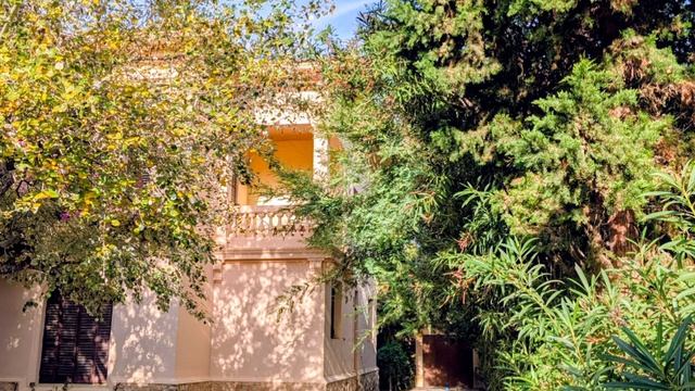 886.Настроение южное, ноябрьское.