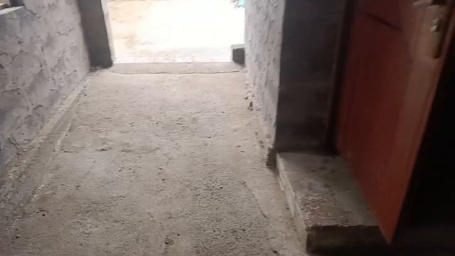 Песик балдёжник и моё хозяйство:)