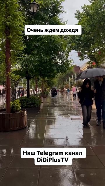 Дождливая погода #music #iran #иран #tehran #тегеран #travel #искусство #food #DiDiPlusTV