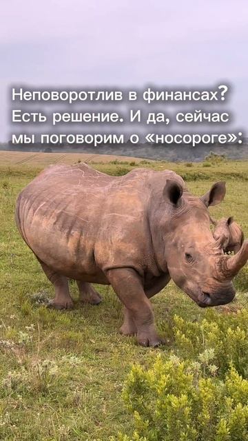 Вот что действительно работает