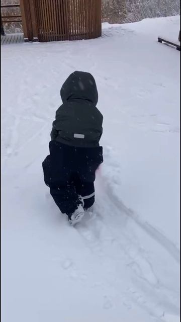 Балтийские зарисовки, часть 2