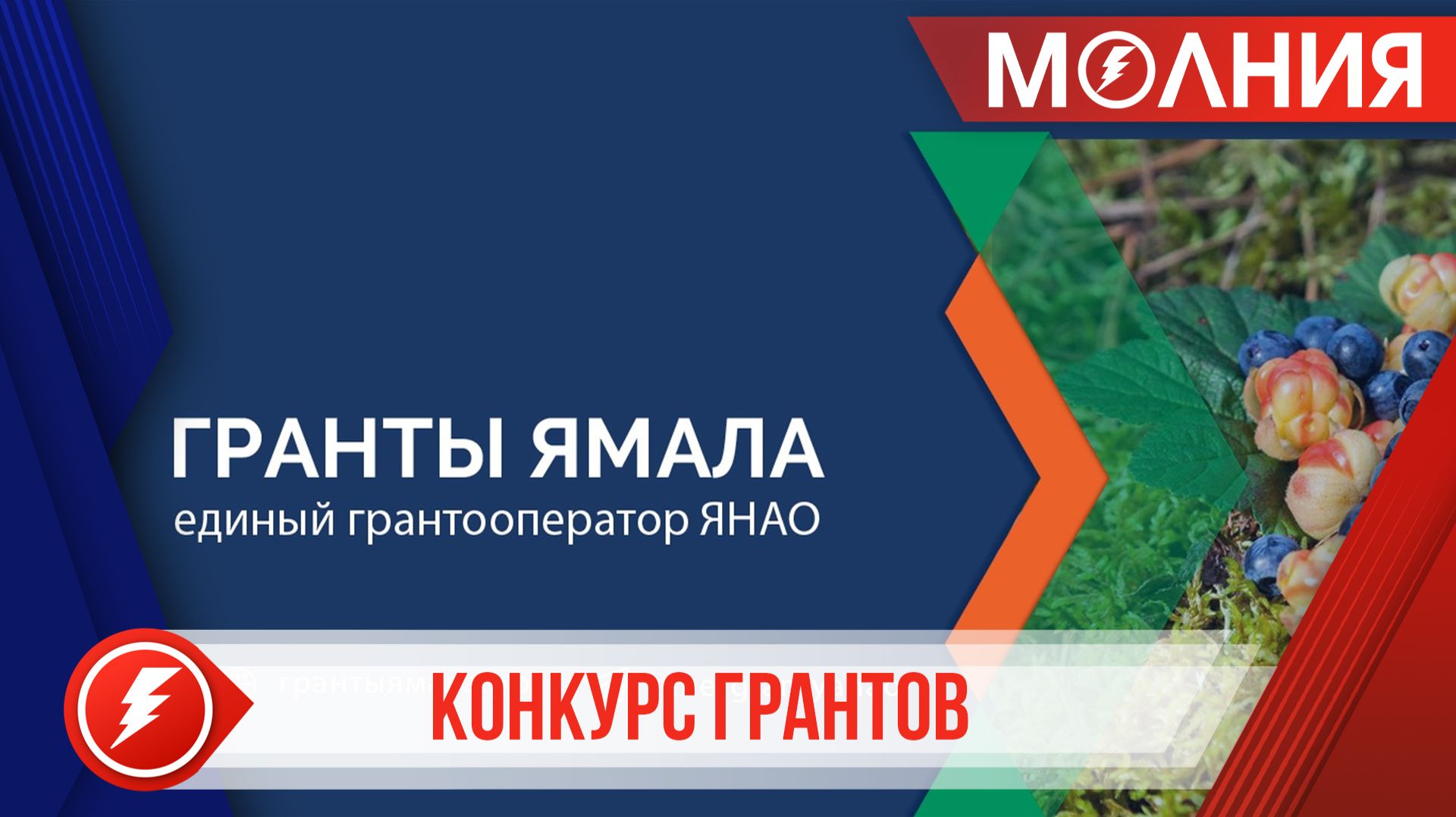 На Ямале стартовал конкурс грантов от губернатора для социально ориентированных НКО