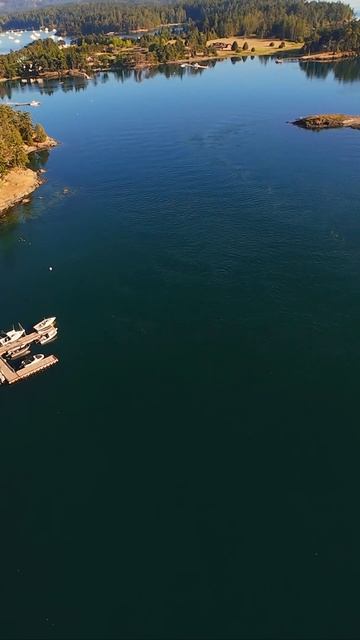 Сан-Хуанские острова летом — идеальное место, чтобы увидеть красоту и с воздуха, и с воды.