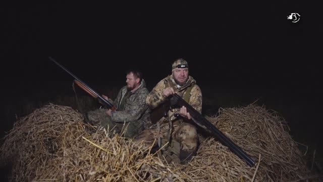 Охота на пернатых и кабана в Новгородской области. Охота по правилам (42)